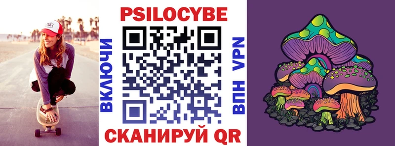это формула  как найти закладки  Чехов  Псилоцибиновые грибы Cubensis 